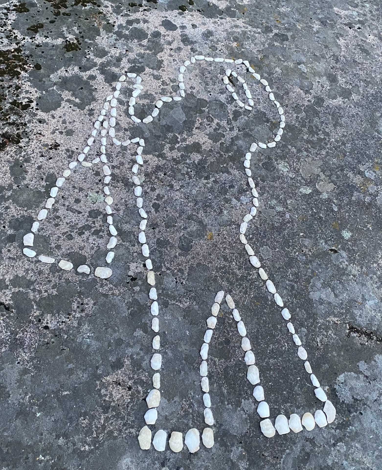 "Lady with bag and mobile phone". Min månskensskugga av 8000 - 10 000 årgamla musselskal från skalbank på platsen,monterade på granithäll.